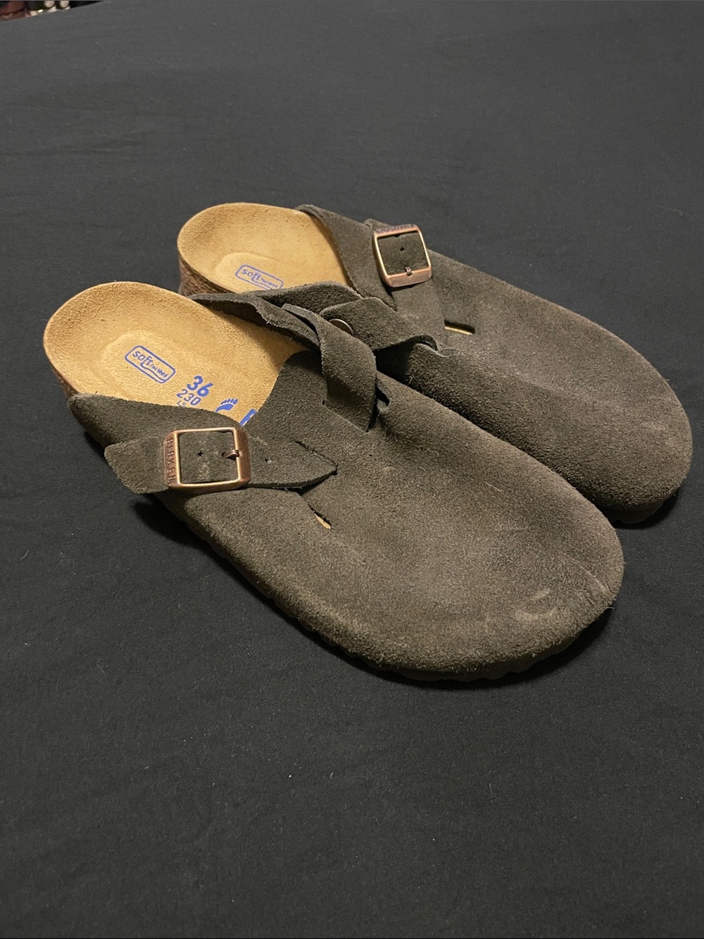 Dark brown Bostons